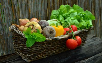 IPCC Report: Our food system is at risk and doing harm — transforming it is essential for health and climate