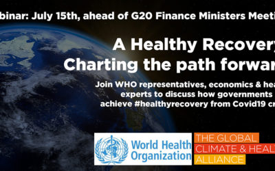 Webinar: Ahead of G20 Finance Meeting, Health Community Calls for Healthy, Sustainable, Inclusive Public Investments