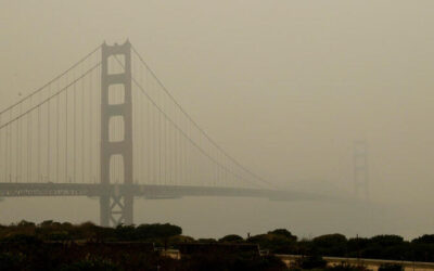 Global Climate and Health Alliance Statement on Health Implications of Wildfire Pollution