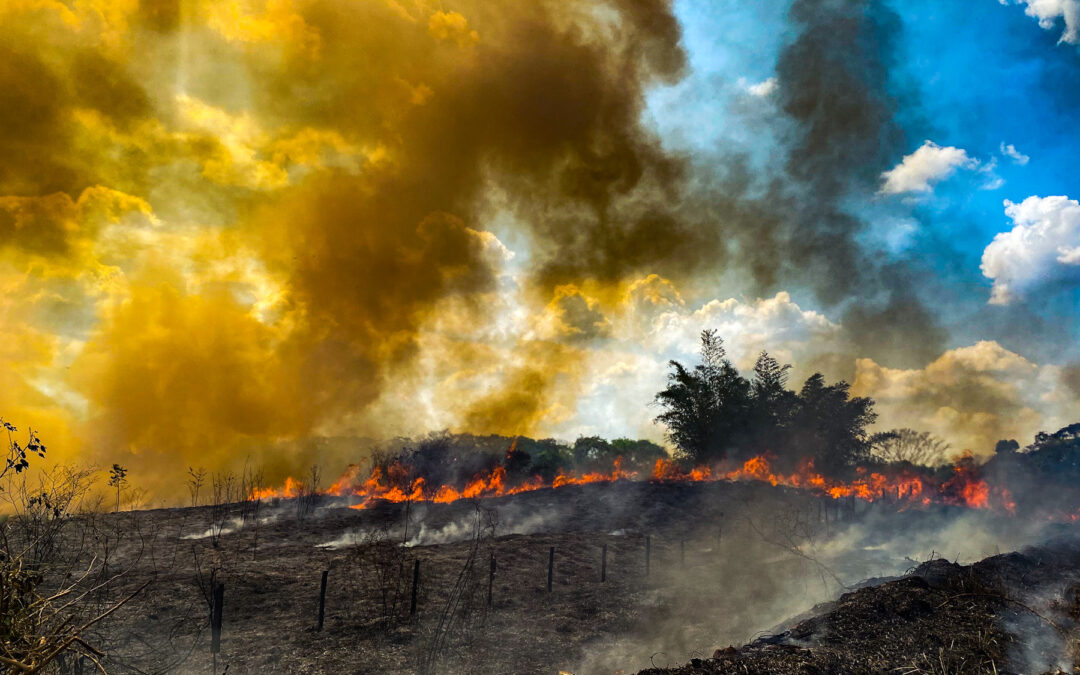 Informe del IPCC sobre el clima: los líderes nacionales deben actuar sobre la crisis climática para garantizar la salud y la seguridad humanas