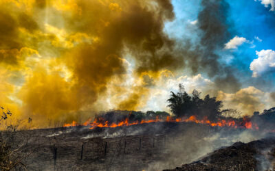 Informe del IPCC sobre el clima: los líderes nacionales deben actuar sobre la crisis climática para garantizar la salud y la seguridad humanas