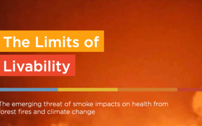 Forest Fire Smoke Driving Increased Health Risks from Air Pollution Worldwide – Report