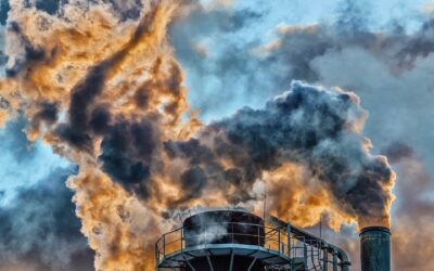 Por qué necesitamos un tratado global para eliminar los combustibles fósiles y proteger la vida